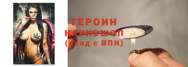 гидра Гусиноозёрск