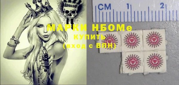 индика Горняк