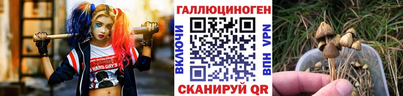 мега зеркало  магазин продажи   Валуйки  Галлюциногенные грибы MAGIC MUSHROOMS 