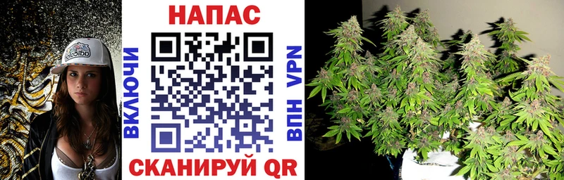 Бошки Шишки ГИДРОПОН  где продают наркотики  Валуйки 
